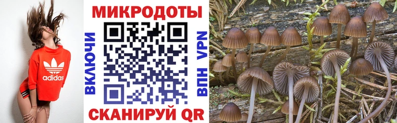 Галлюциногенные грибы прущие грибы  даркнет сайт  Похвистнево 