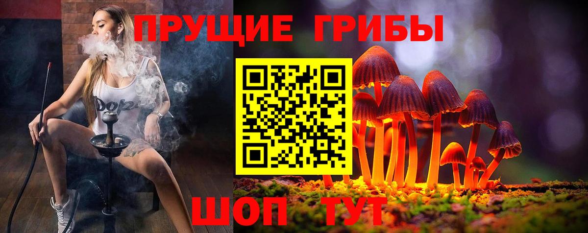 Галлюциногенные грибы Cubensis  Вход с VPN  купить   Похвистнево 