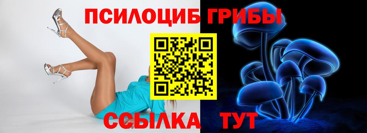 Галлюциногенные грибы мицелий Похвистнево